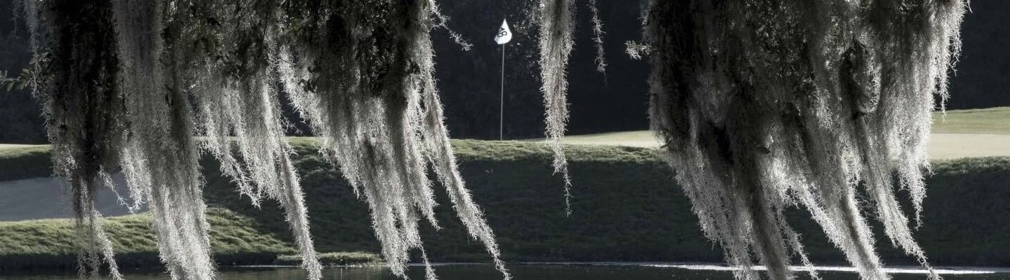 Golf course background