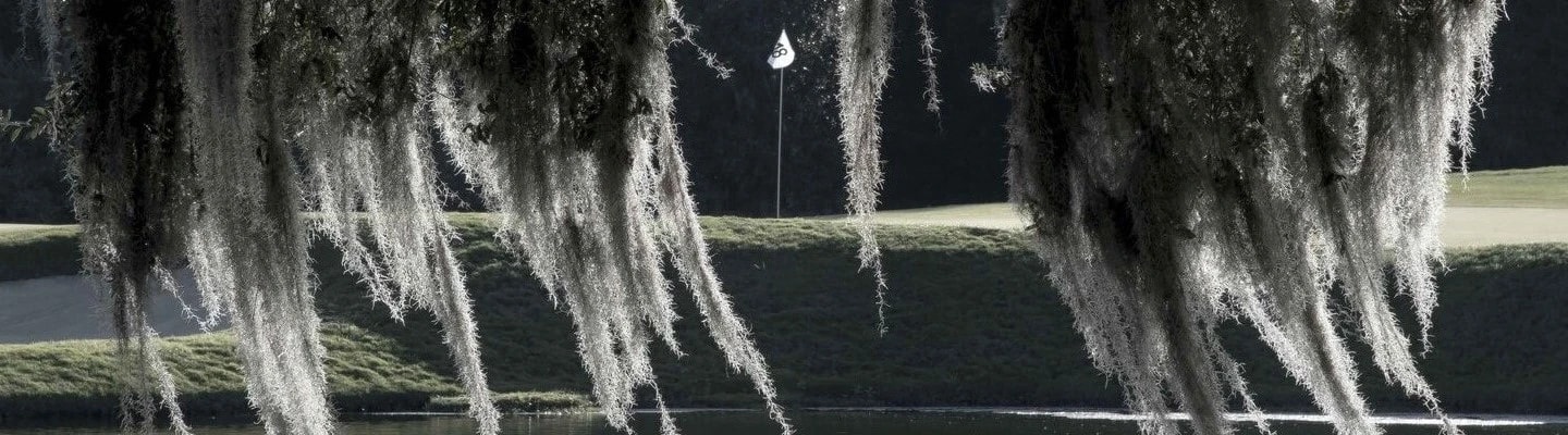 Golf course background