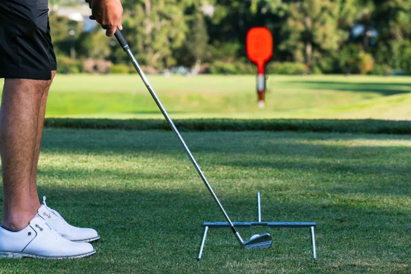 True Target Alignment System